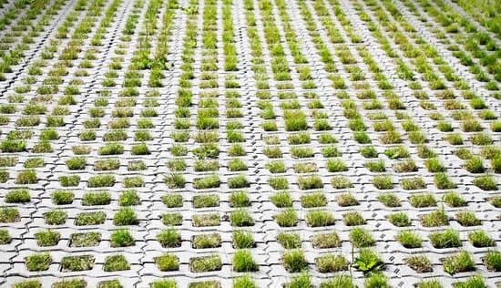 5 Materials for Driveway Pavers